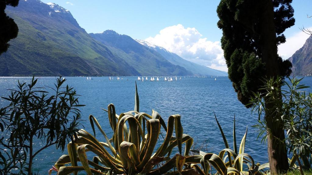 Hotel Angelini Torbole Sul Garda Eksteriør bilde
